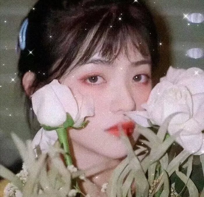 画舫情歌